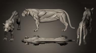 Figurines lions tigers sphinxes (STKL_0259) 3D model for CNC machine